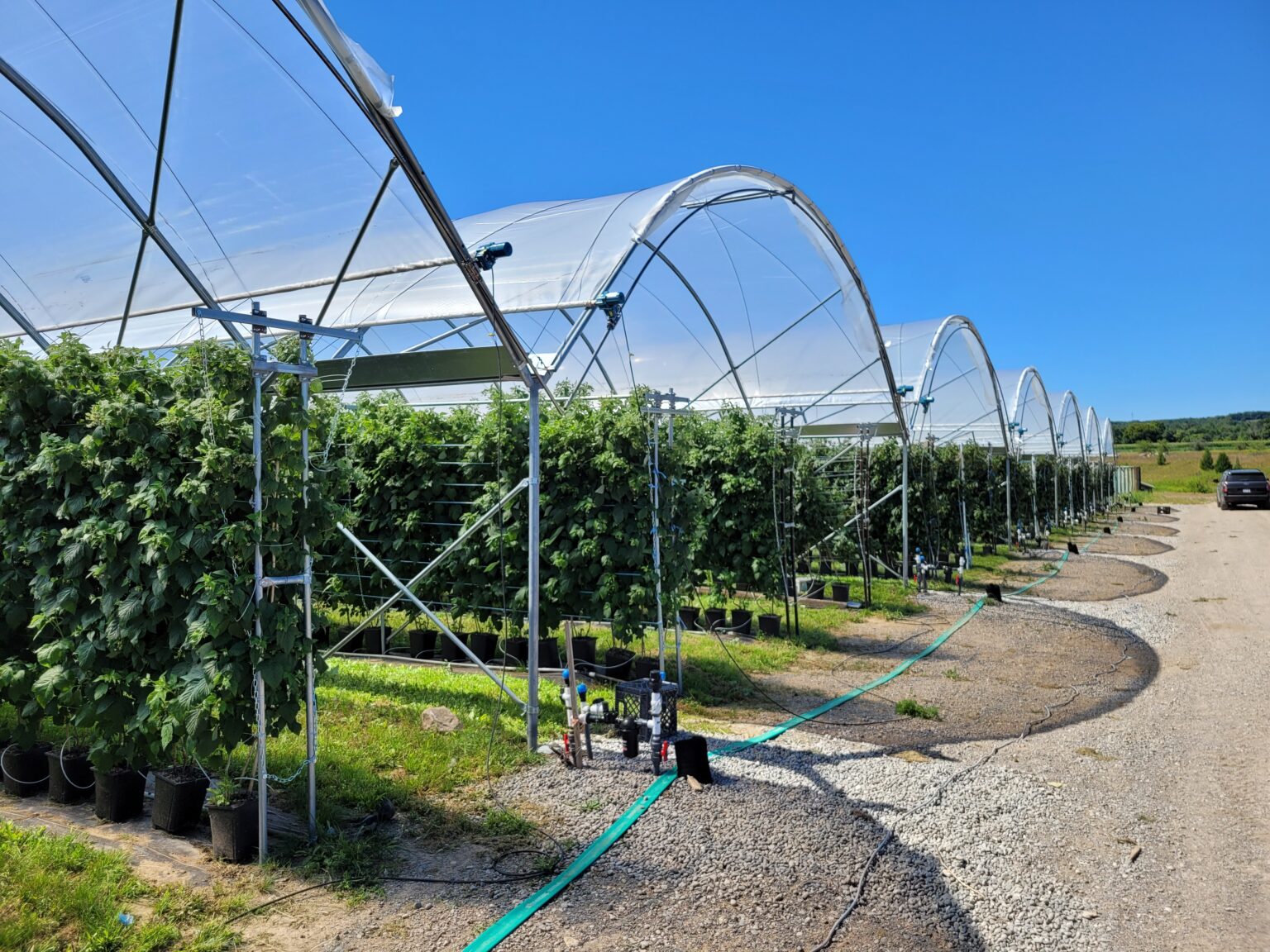 Standard Series HD high tunnel (3 of 4)