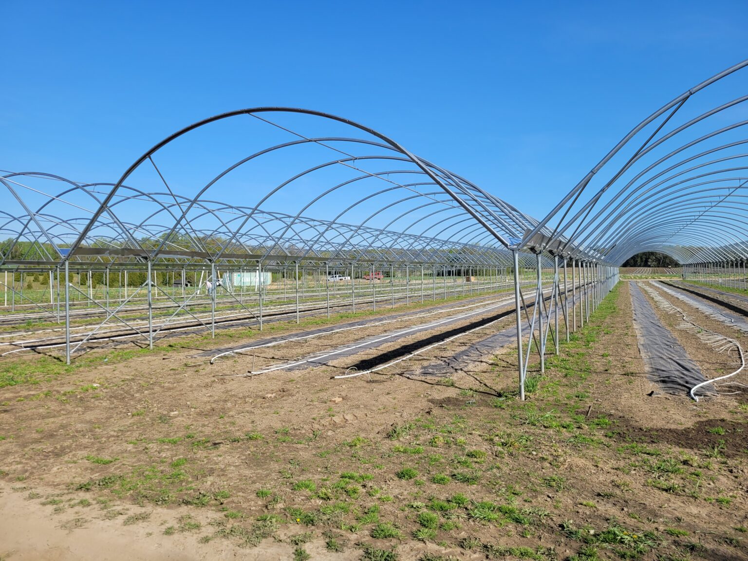 A custom Tunnel Tech growing structure