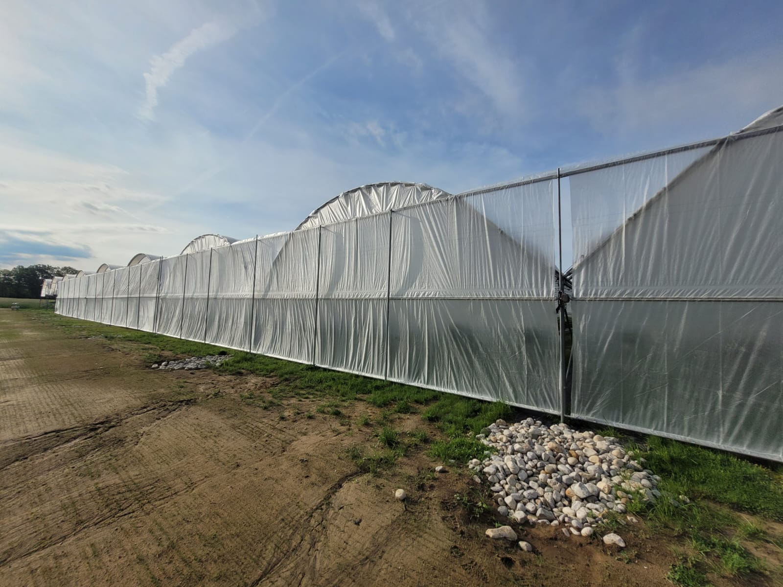 Standard Series MD high tunnel (3 of 3)
