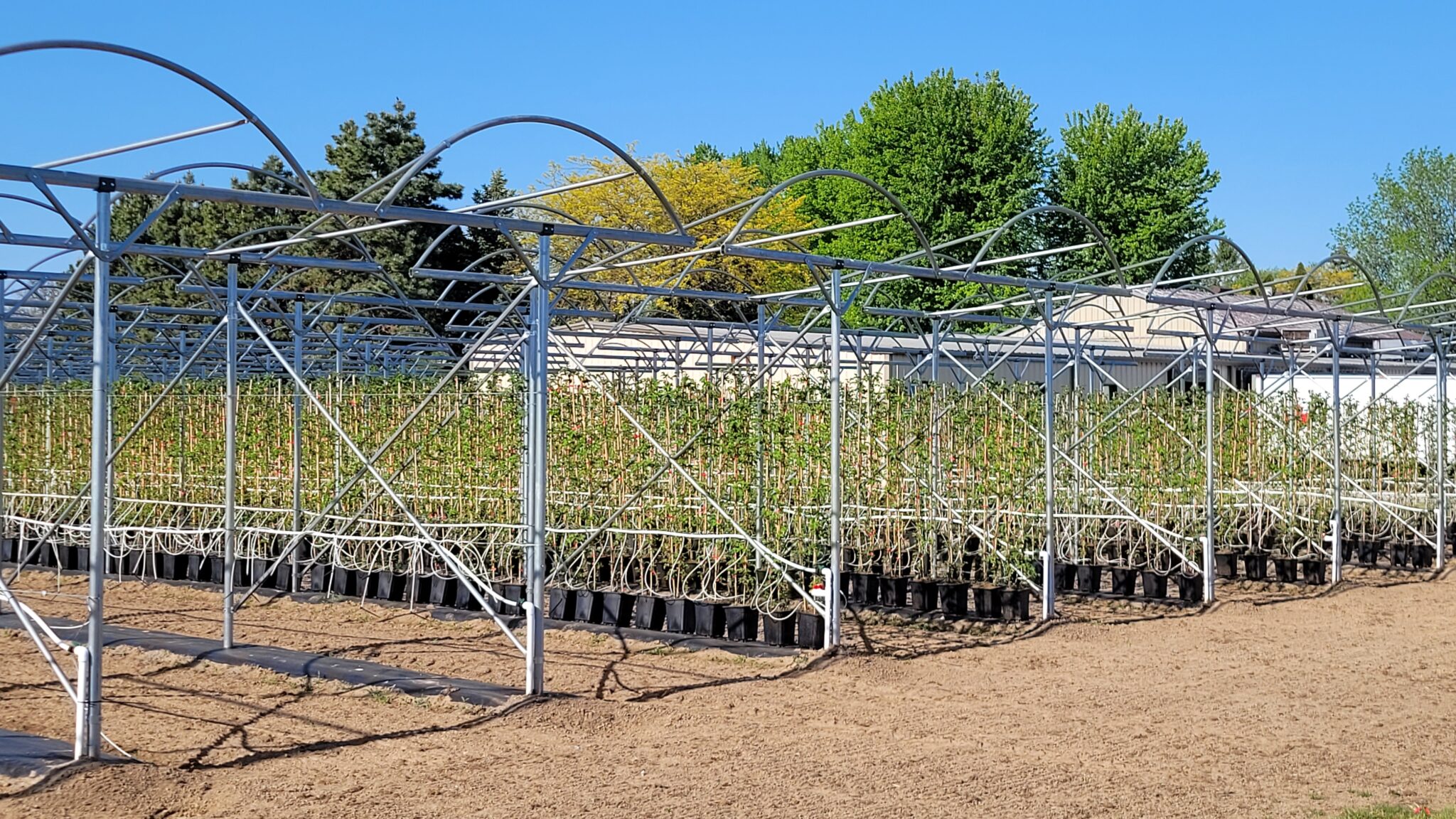 Umbrella Tunnel tunneltech.ca