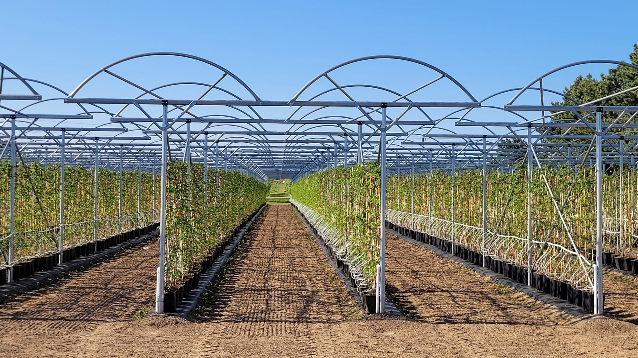 Umbrella Tunnel tunneltech.ca